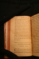 1591 - Pierre Chastaing et Benoît Rigaud - Trésor des bêtes chevalines - BM Bordeaux
