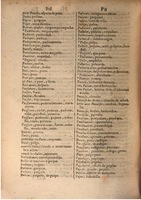 1645 - A. de Sommaville et A. Courbé - Trésor des deux langues espagnole et française (Seconde partie) - BSB Munich