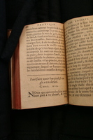 1591 - Pierre Chastaing et Benoît Rigaud - Trésor des bêtes chevalines - BM Bordeaux
