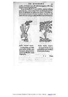 1555 Tresor de Evonime Philiatre Arnoullet 1_Page_069.jpg