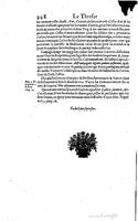 1650 - Denis Thierry - Trésor des antiquités romaines - BM Lyon