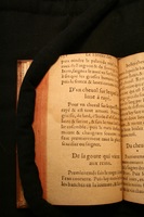 1591 - Pierre Chastaing et Benoît Rigaud - Trésor des bêtes chevalines - BM Bordeaux