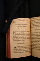 1591 - Pierre Chastaing et Benoît Rigaud - Trésor des bêtes chevalines - BM Bordeaux