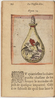 1612 - Charles Sevestre - Toison d’or ou la fleur des Trésors - BnF