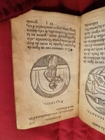 1586 - Benoît Rigaud - Trésor des fleurs et secrets de médecine - Sainte-Geneviève