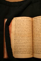 1591 - Pierre Chastaing et Benoît Rigaud - Trésor des bêtes chevalines - BM Bordeaux