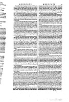1629 - Veuve Nicolas Buon - Trésor du droit français (29620 T. 1) - BM Lyon
