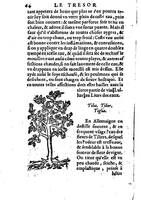 1559 veuve Balthazar Arnoullet et Antoine Vincent Trésor d’Evonime Philiatre_BM Lyon_Page_113.jpg
