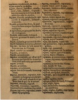 1625 - Hubert Antoine - Trésor des deux langues espagnole et française - Augsbourg