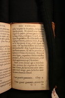 1591 - Pierre Chastaing et Benoît Rigaud - Trésor des bêtes chevalines - BM Bordeaux