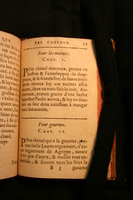 1591 - Pierre Chastaing et Benoît Rigaud - Trésor des bêtes chevalines - BM Bordeaux