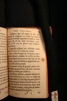 1591 - Pierre Chastaing et Benoît Rigaud - Trésor des bêtes chevalines - BM Bordeaux