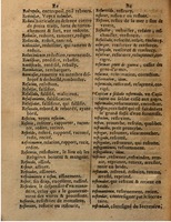 1625 - Hubert Antoine - Trésor des deux langues espagnole et française - Augsbourg