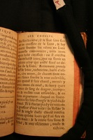 1591 - Pierre Chastaing et Benoît Rigaud - Trésor des bêtes chevalines - BM Bordeaux