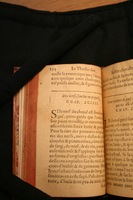 1591 - Pierre Chastaing et Benoît Rigaud - Trésor des bêtes chevalines - BM Bordeaux