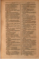 1607 - Marc Orry - Trésor des deux langues espagnole et française (Seconde partie) - BSB Munich