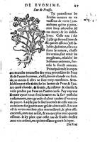1559 veuve Balthazar Arnoullet et Antoine Vincent Trésor d’Evonime Philiatre_BM Lyon_Page_096.jpg