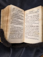 1609 - Théodore Reinsart - Trésor des fleurs du bien dire - Anvers Musée Plantin-Moretus