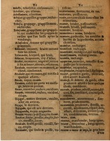 1625 - Hubert Antoine - Trésor des deux langues espagnole et française - Augsbourg