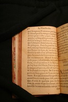1591 - Pierre Chastaing et Benoît Rigaud - Trésor des bêtes chevalines - BM Bordeaux