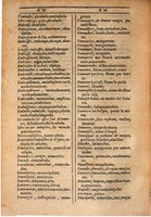 1607 - Marc Orry - Trésor des deux langues espagnole et française (Seconde partie) - BSB Munich