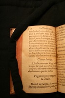 1591 - Pierre Chastaing et Benoît Rigaud - Trésor des bêtes chevalines - BM Bordeaux