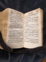 1609 - Théodore Reinsart - Trésor des fleurs du bien dire - Anvers Musée Plantin-Moretus