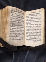 1609 - Théodore Reinsart - Trésor des fleurs du bien dire - Anvers Musée Plantin-Moretus