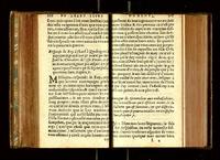 1571 - François Durelle et Benoît Rigaud - Trésor des Amadis - RAE Madrid