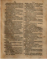 1625 - Hubert Antoine - Trésor des deux langues espagnole et française - Augsbourg