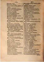 1645 - A. de Sommaville et A. Courbé - Trésor des deux langues espagnole et française (Seconde partie) - BSB Munich