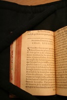 1591 - Pierre Chastaing et Benoît Rigaud - Trésor des bêtes chevalines - BM Bordeaux