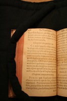 1591 - Pierre Chastaing et Benoît Rigaud - Trésor des bêtes chevalines - BM Bordeaux