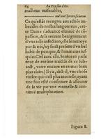 1612 - Charles Sevestre - Toison d’or ou la fleur des trésors - Getty Research Institute
