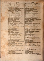 1645 - A. de Sommaville et A. Courbé - Trésor des deux langues espagnole et française (Seconde partie) - BSB Munich