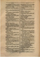 1607 - Marc Orry - Trésor des deux langues espagnole et française (Première partie) - BSB Munich