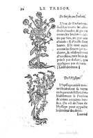 1557 Tresor de Evonime Philiatre Vincent_Page_097.jpg