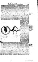 1650 - Denis Thierry - Trésor des antiquités romaines - BM Lyon