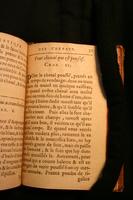 1591 - Pierre Chastaing et Benoît Rigaud - Trésor des bêtes chevalines - BM Bordeaux