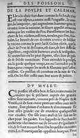 1607 - Étienne Servain et Jean Antoine Huguetan - Trésor de santé ou ménage de la vie humaine - BIU Santé