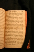 1591 - Pierre Chastaing et Benoît Rigaud - Trésor des bêtes chevalines - BM Bordeaux