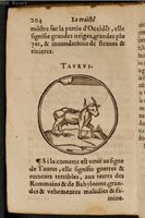 1586 - Benoît Rigaud - Trésor des fleurs et secrets de médecine - Université Paris Cité