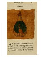1612 - Charles Sevestre - Toison d’or ou la fleur des trésors - Getty Research Institute