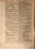 1645 - A. de Sommaville et A. Courbé - Trésor des deux langues espagnole et française (Seconde partie) - BSB Munich