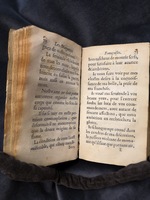 1609 - Théodore Reinsart - Trésor des fleurs du bien dire - Anvers Musée Plantin-Moretus