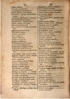 1645 - A. de Sommaville et A. Courbé - Trésor des deux langues espagnole et française (Seconde partie) - BSB Munich