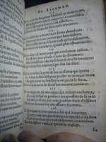 1591 - Richard Schilders - Trésor de Salomon - Versailles