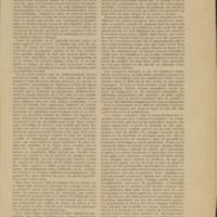 Les Nouvelles illustrées, n° 19