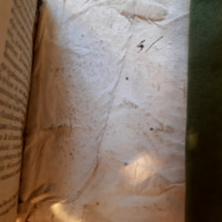 Contreplat arrière
