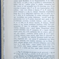 Parisii-p66
